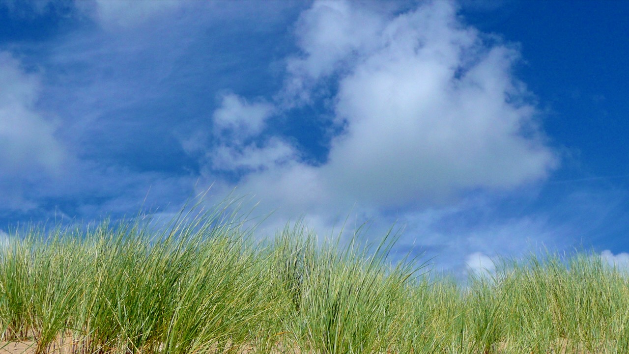 Sand dunes, blue sky and clouds