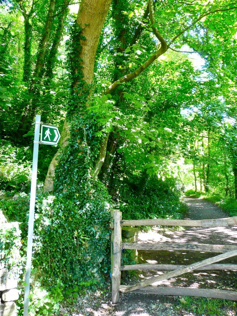 Walking path sign post pointing to a path through woods